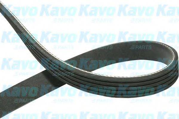 KAVO PARTS DMV-1517