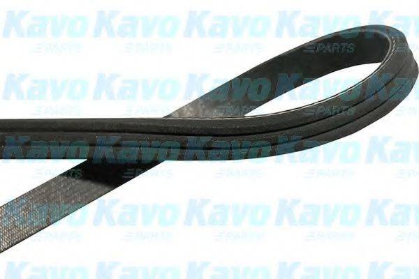 KAVO PARTS DMV-9062