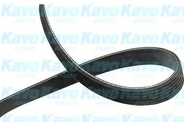 KAVO PARTS DMV-1036