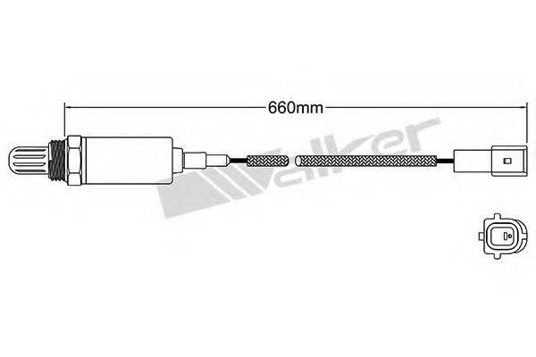 WALKER PRODUCTS 250-21039