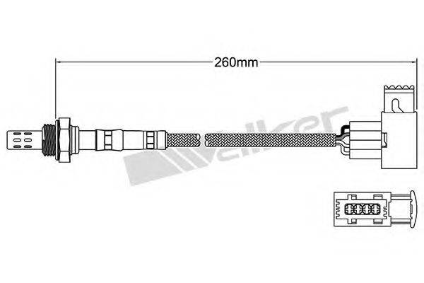 WALKER PRODUCTS 250-24423