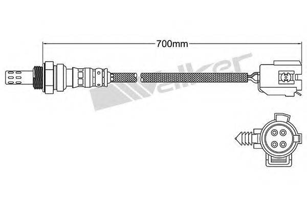 WALKER PRODUCTS 250-24944