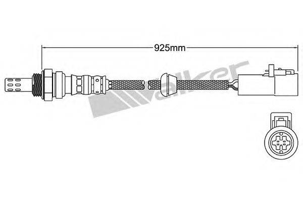 WALKER PRODUCTS 250-24903