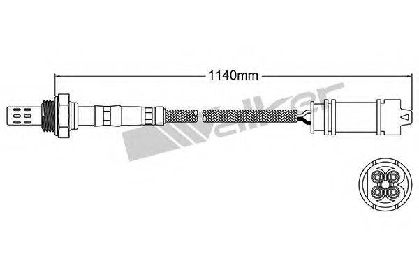 WALKER PRODUCTS 25024657 Лямбда-зонд