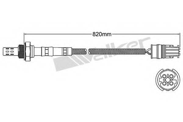 WALKER PRODUCTS 250-24445