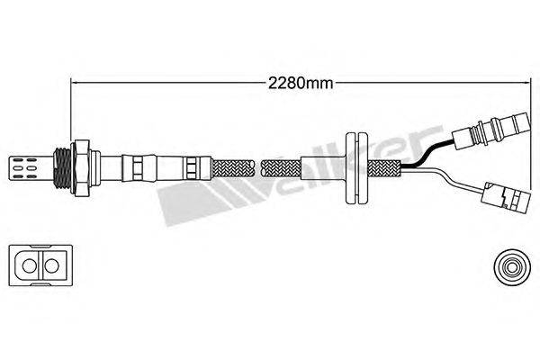 WALKER PRODUCTS 25023150 Лямбда-зонд