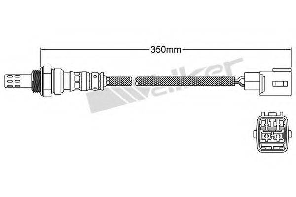 WALKER PRODUCTS 250-24489