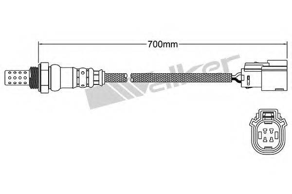 WALKER PRODUCTS 250-241023