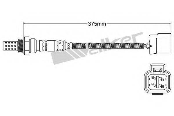 WALKER PRODUCTS 250-241028