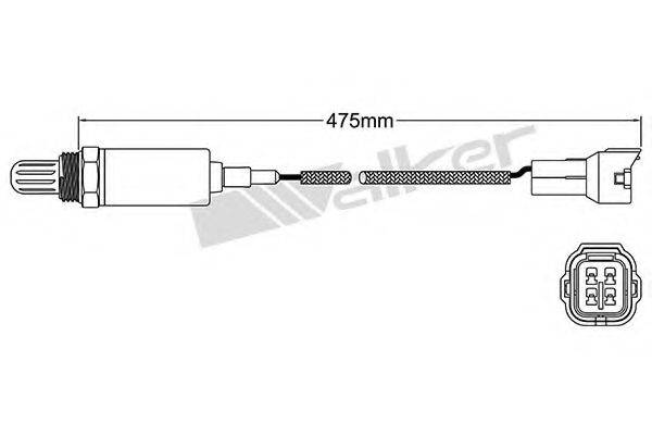 WALKER PRODUCTS 250-21077