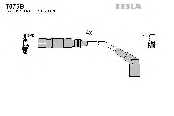 TESLA T075B