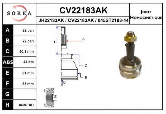 EAI CV22183AK