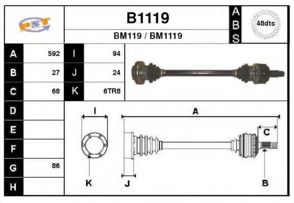 SNRA B1119