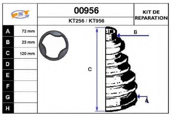 SNRA 00956