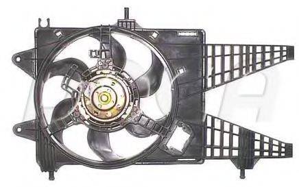 DOGA EFI043