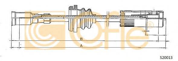 COFLE S20013